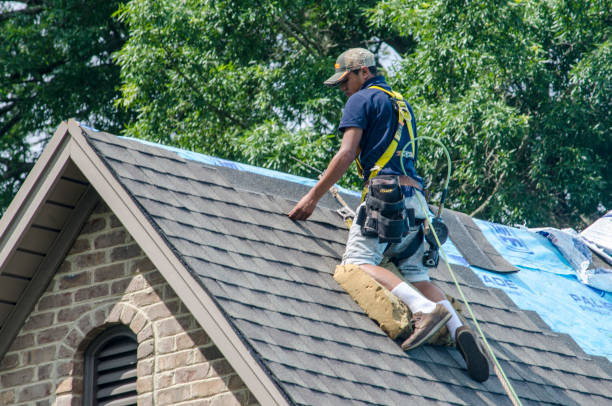 Best Flat Roof Repair Services  in Columbus, WI